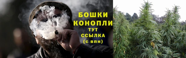 СК Балахна