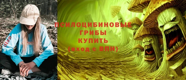 СК Балахна