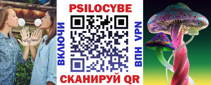 как найти   Курильск  Галлюциногенные грибы мухоморы 